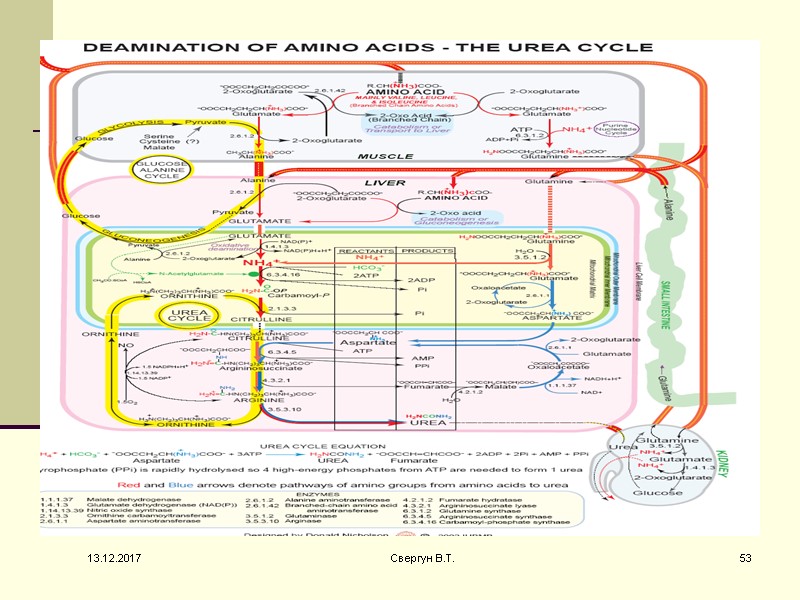 13.12.2017 53 Свергун В.Т.